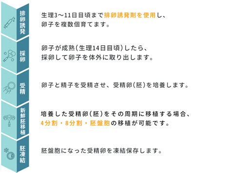 体外受精をご希望の方へ 【公式】artクリニック白山｜不妊治療・産婦人科｜新潟市