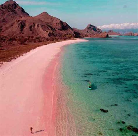 Viaggio A Pink Beach Indonesia Tendenzediviaggio It