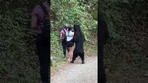 Violent Encounter Between Two Bears Captured On The Russian Chinese Border