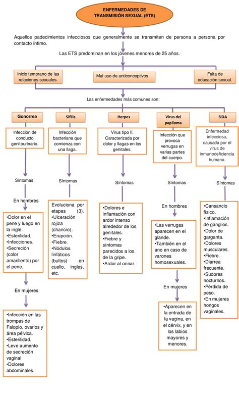 Enfermedades De Transmisión Sexual Esquemas Y Mapas Conceptuales De