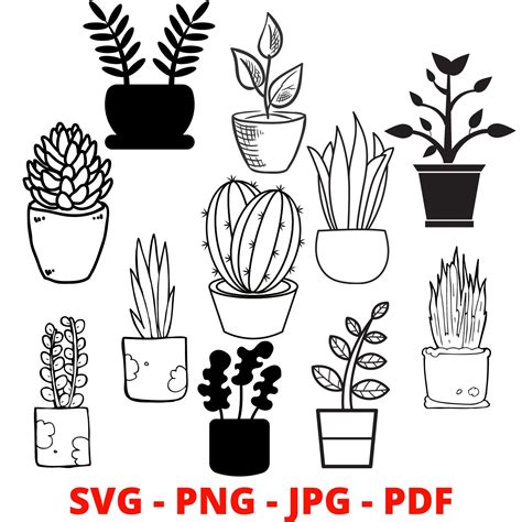 House Plants In Pots Svg Potted Plant Svg Bundle Houseplant Svg Plant