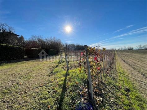 Terreno Agricolo Strada Annunziata Costigliole D Asti Rif 112173543