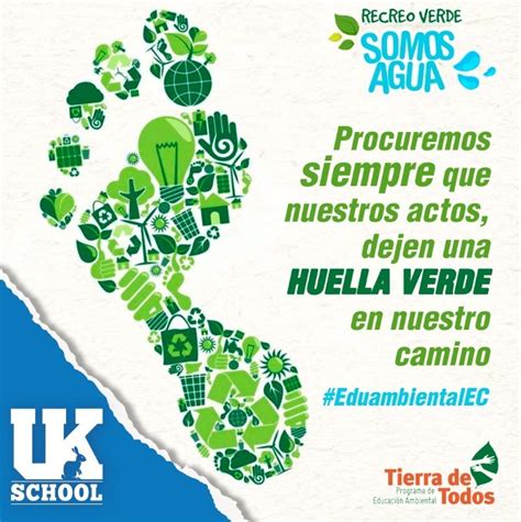 Importancia De La Conservación Y Protección Del Medio Ambiente Uk School