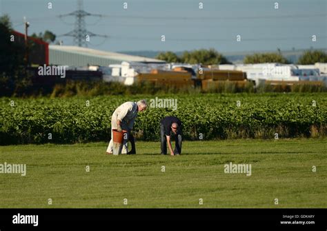 Sonder Cinq Banque De Photographies Et Dimages Haute R Solution Alamy