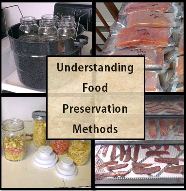 Food Preservation Methods Explained! - Homestead Dreamer