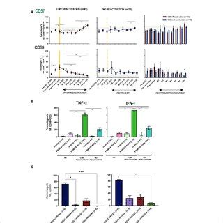 NK Cells From HSCT Patients Who Have Undergone An Episode Of CMV