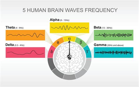 Alpha Beta Theta What Are Brain States And Brain Waves And Can We