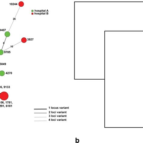 Analysis Of Mlva Profiles Of Toxigenic C Difficile Isolates A Minimum