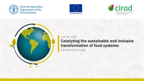 Catalysing The Sustainable And Inclusive Transformation Of Food Systems