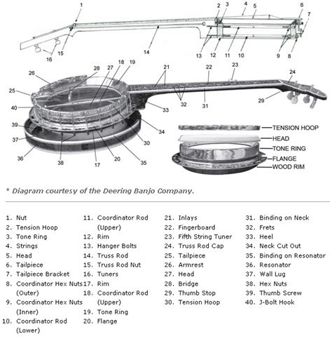 Building Banjos