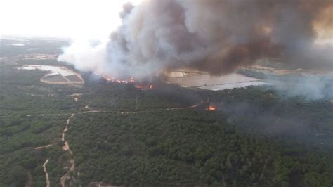 Fotos Incendio Forestal En Doñana En Imágenes Andalucía El PaÍs