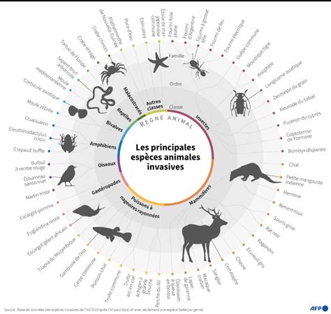 Espèces invasives une menace sous estimée au cœur d un rapport inédit