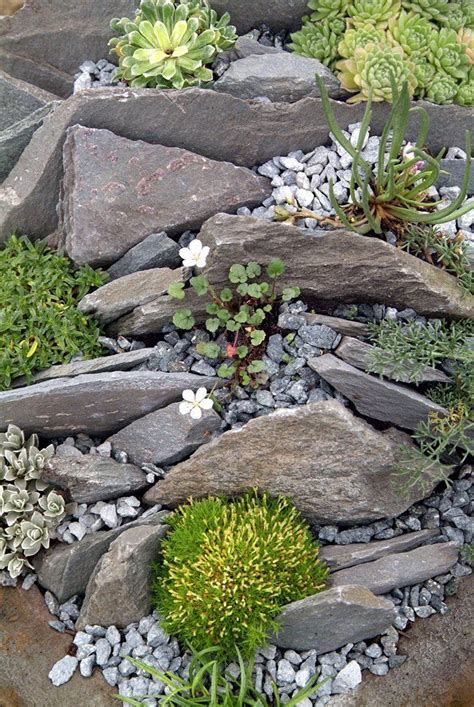 Shade Plants For Rock Garden