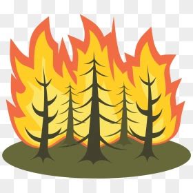 fire euclidean vector transparent forest fire clipart hd png