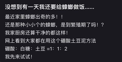 没想到有一天还要给蟑螂做饭 涨姿势