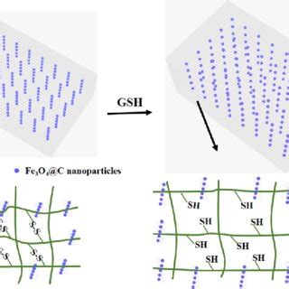 Schematic Illustration Showing The Change Of Lattice Spacing And The