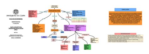 Mapa Conceptual IRC Describe Barias Partes De La Insuficiencia Renal