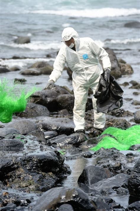 「德翔台北」漏油 魚貝慘遭染黑 生活 自由時報電子報