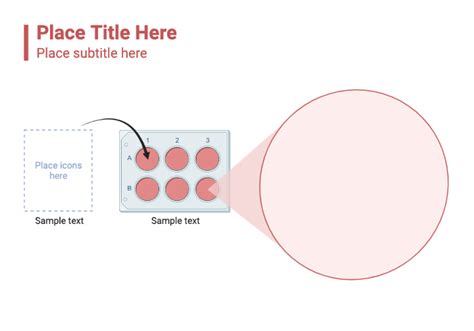 Cell Culture Plate With Callout Layout BioRender Science Templates