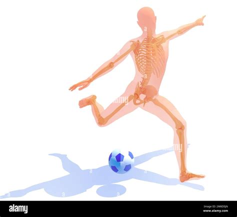 Anatomical 3D illustration of a soccer player with a ball. Transparent ...