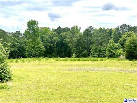 11 Acres of Land for Sale in Chesterfield, South Carolina - LandSearch