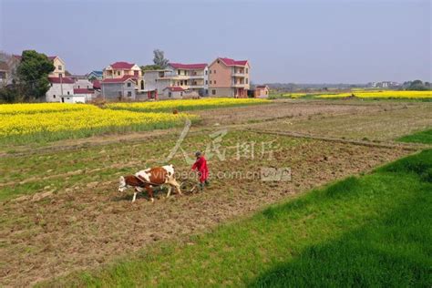 江西泰和：春耕忙 人民图片网