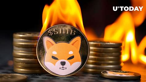 14 Million Shiba Inu Torched As Burn Rate Jumps 404