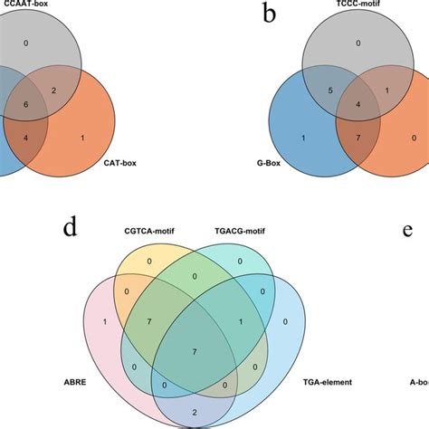 Promoter Cis Elements Of A Development Related Elements B