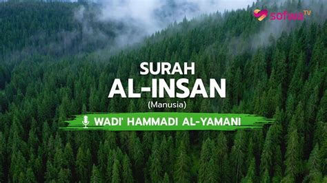 JUZ 29 BACAAN MERDU SURAH AL INSAN WADI HAMMADI AL YAMANI YouTube