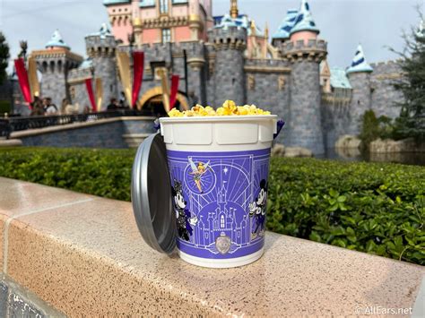 Disney World Popcorn Bucket Alexa Harriot