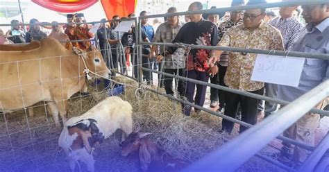 Aidiladha Selangor Sumbang Lembu Kambing Berita Harian