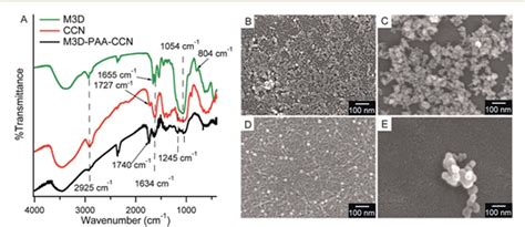 Figure 1 From Magnetic Nanocomposite Based On Polyacrylic Acid And