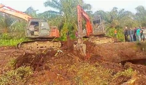 Meski Di Police Line Pekerja Kebun Di Dayun Bongkar Jembatan Buatan PT DSI