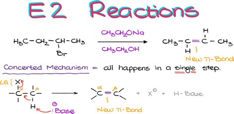 E2 Reactions — Organic Chemistry Tutor