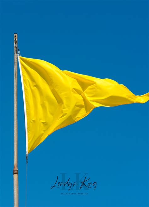 9 Yellow Flags To Look Out For In Your Next Relationship Londyn King Londyn King