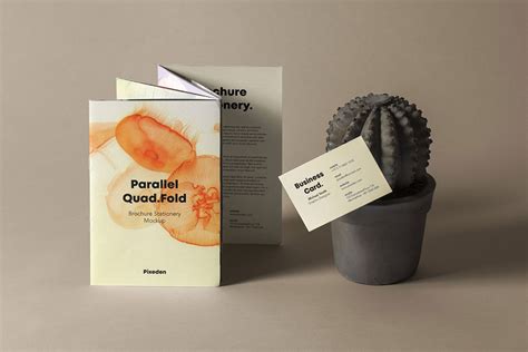 42 Best Pamphlet Mockups For Effective Marketing Colorlib