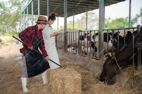 Premium Photo Asian Farmer Work In A Rural Dairy Farm Outside The