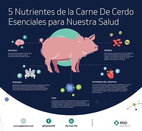 Beneficios De La Carne De Cerdo Revista Q