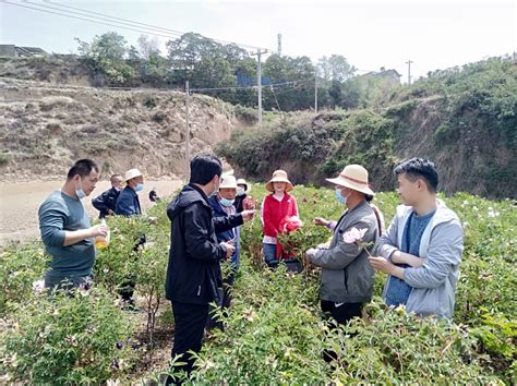 生物技术、林果花卉研究所在榆中县开展“三区”专项培训及调研 甘肃省农业科学院 林果花卉研究所