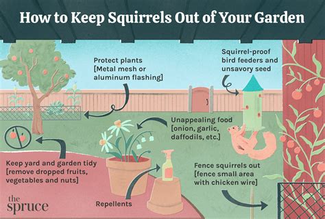 Natural Squirrel Repellent Garden Fasci Garden