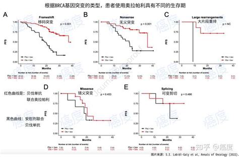 如何解读基因检测报告 知乎