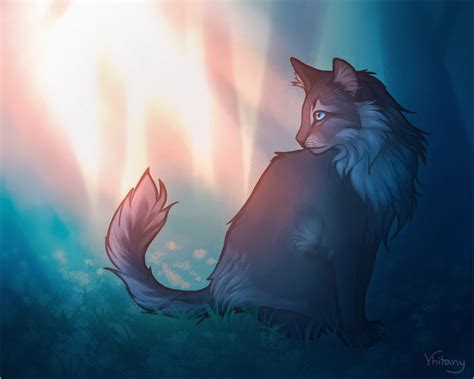 Warriors Cats Wallpaper Bluestar