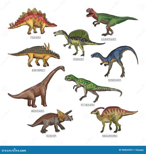 Colored Illustrations Of Different Dinosaurs Types. Tyrannosaurus, Rex ...