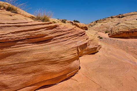 Gully In The Nevada Desert Surrounded By The Colorful Pink Lined Rocks