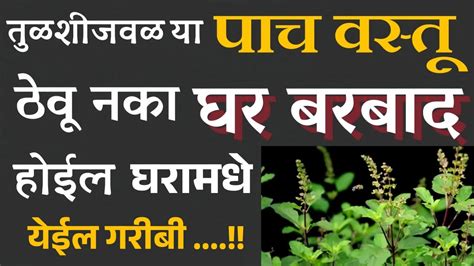 तुळशीजवळ चुकूनही ठेवू नका या पाच वस्तू संपूर्ण घर होईल बरबाद घरात येत राहील गरिबी