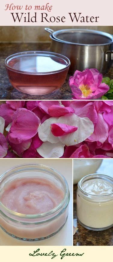 How To Make Rose Water Toner Using Fresh Rose Petals Lovely Greens