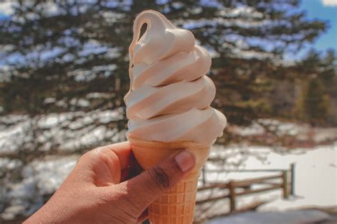 What Is A Creemee Where To Find The Best Creemees In Vermont Passport To Eden