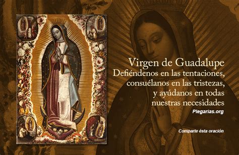 Introducir 66 Imagen Frases De La Virgen Maria De Guadalupe Abzlocal Mx