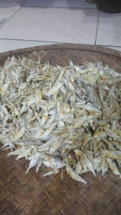 Ikan Asin Campuran Mix Rucah Ikan Asin Tembang Original 1kg Lazada