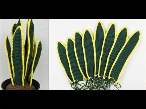 Planta Sansevieria De Ganchillo Youtube Patrones Para Hojas De